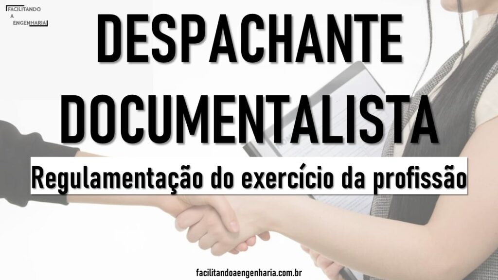 Regulamentação do exercício da profissão de despachante documentalista