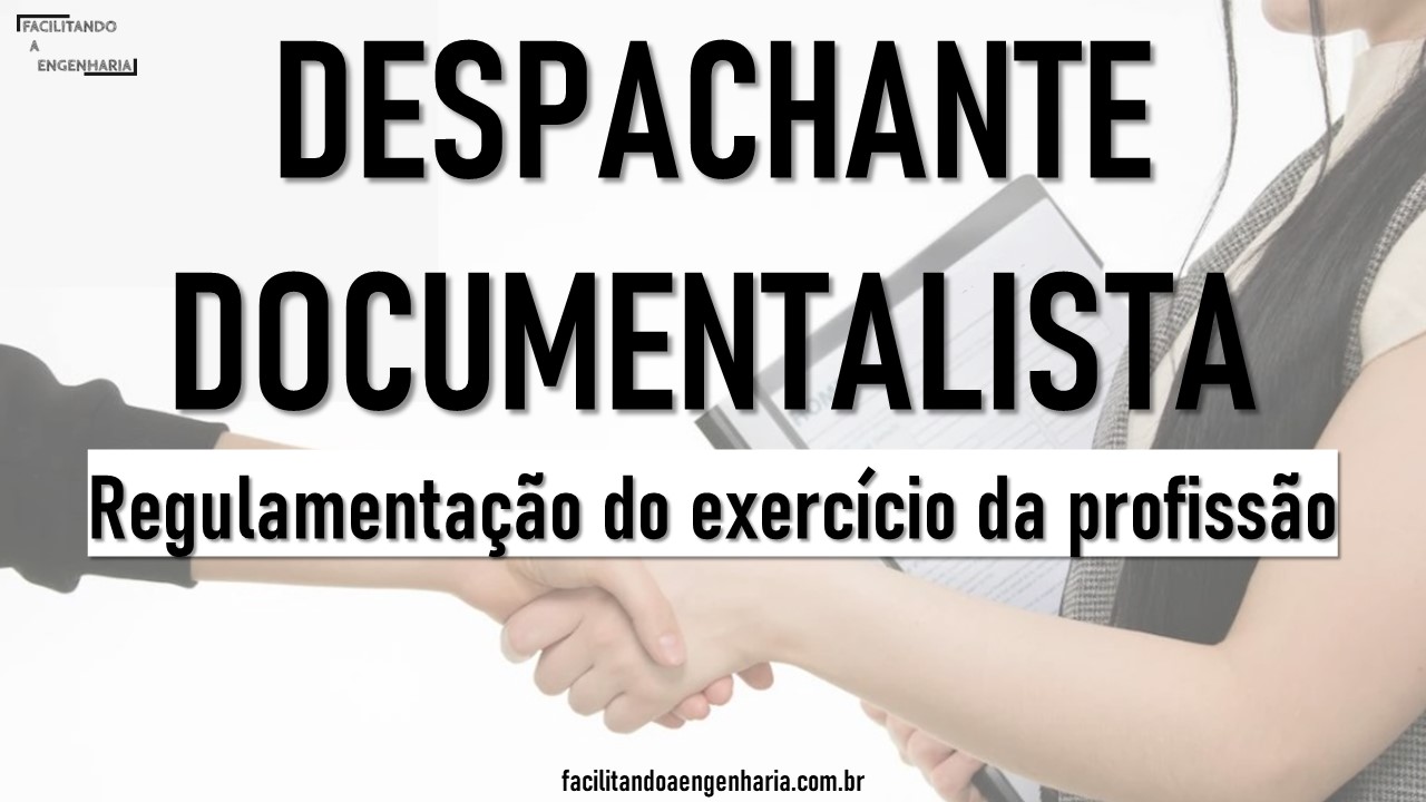 Regulamentação do exercício da profissão de despachante documentalista