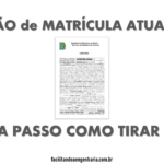 PASSO A PASSO COMO TIRAR A CERTIDÃO ATUALIZADA DA MATRÍCULA DE UM IMÓVEL ONLINE